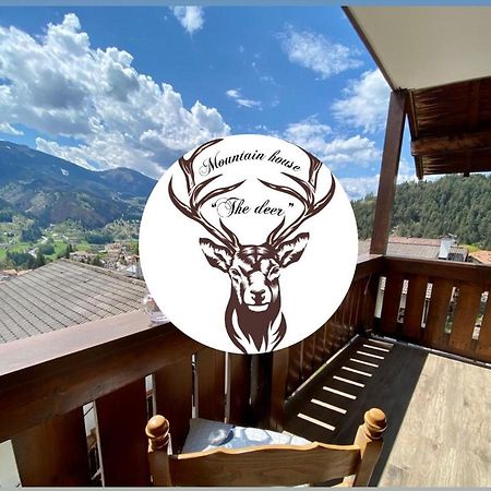 Mountain House The Deer Διαμέρισμα Tesero Εξωτερικό φωτογραφία